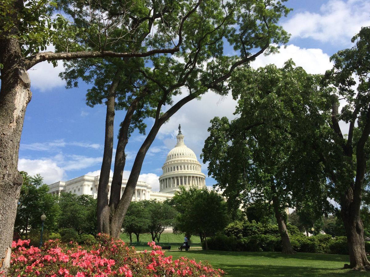 A Semester in Washington, D.C.