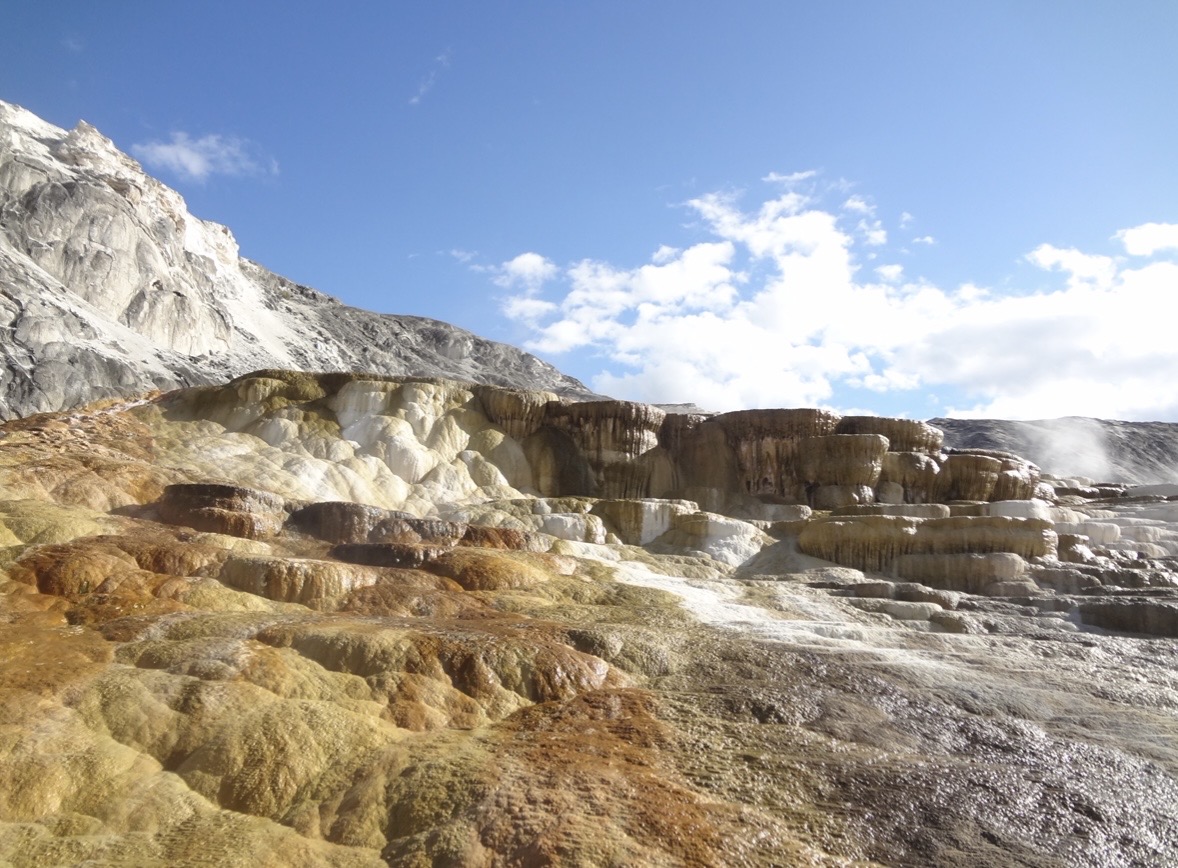 Grand Teton & Yellowstone!